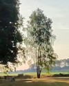 schöne Aussicht am Morgen